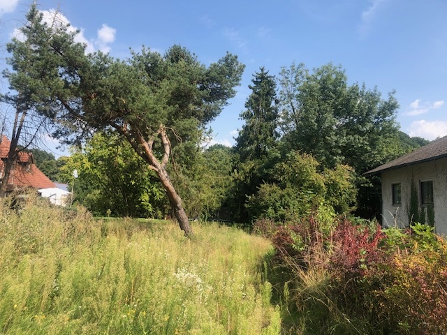 Praktisches Baugrundstück mit Potential in Pfaffenhofen an der Ilm