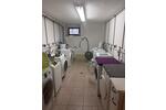 Etagenwohnung Glauchau - 2 Zimmer, 61 m&sup2;, 335&euro; | Angebot:26676961