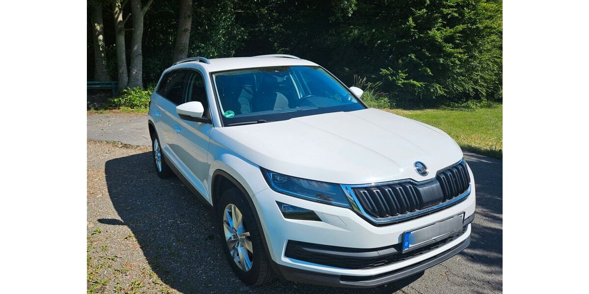 Skoda Kodiaq 182.000 km 18.800 &euro; Wiehl 51674