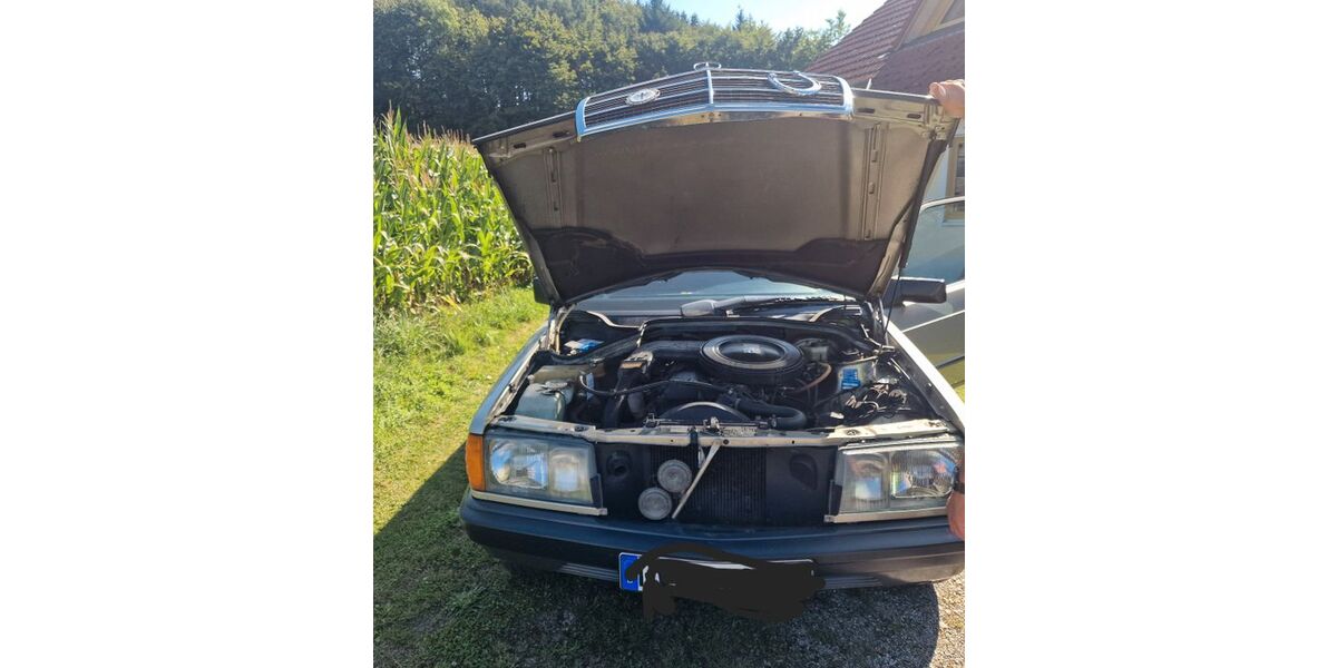 Mercedes-Benz 190 76.120 km 7.999 &euro; Hosskirch 88374