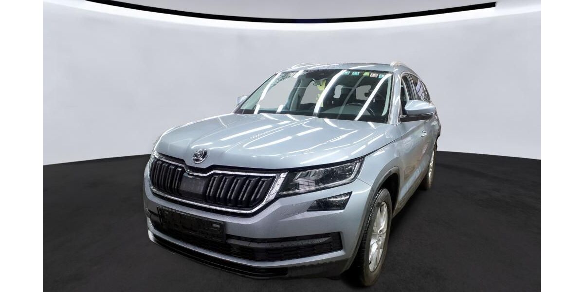 Skoda Kodiaq 243.615 km 14.990 &euro; Braunschweig 38122