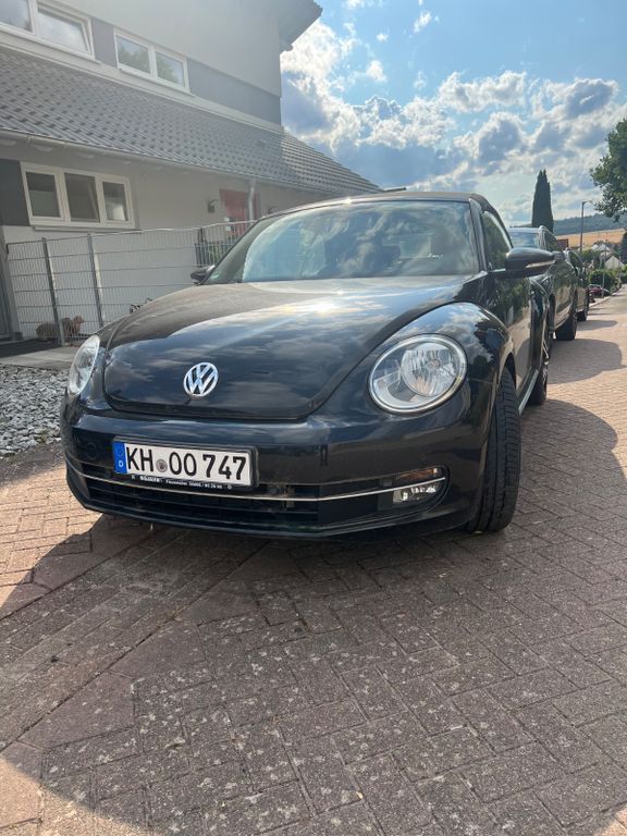 Beetle