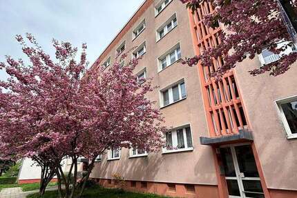 Zimmer Dessau-Roßlau Roßlau - 225&euro; | Angebot:25235213