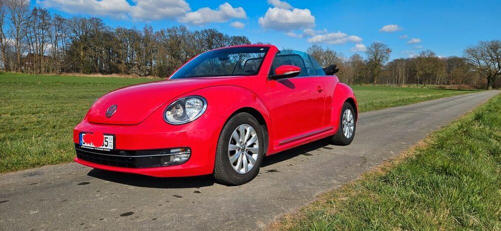 Beetle