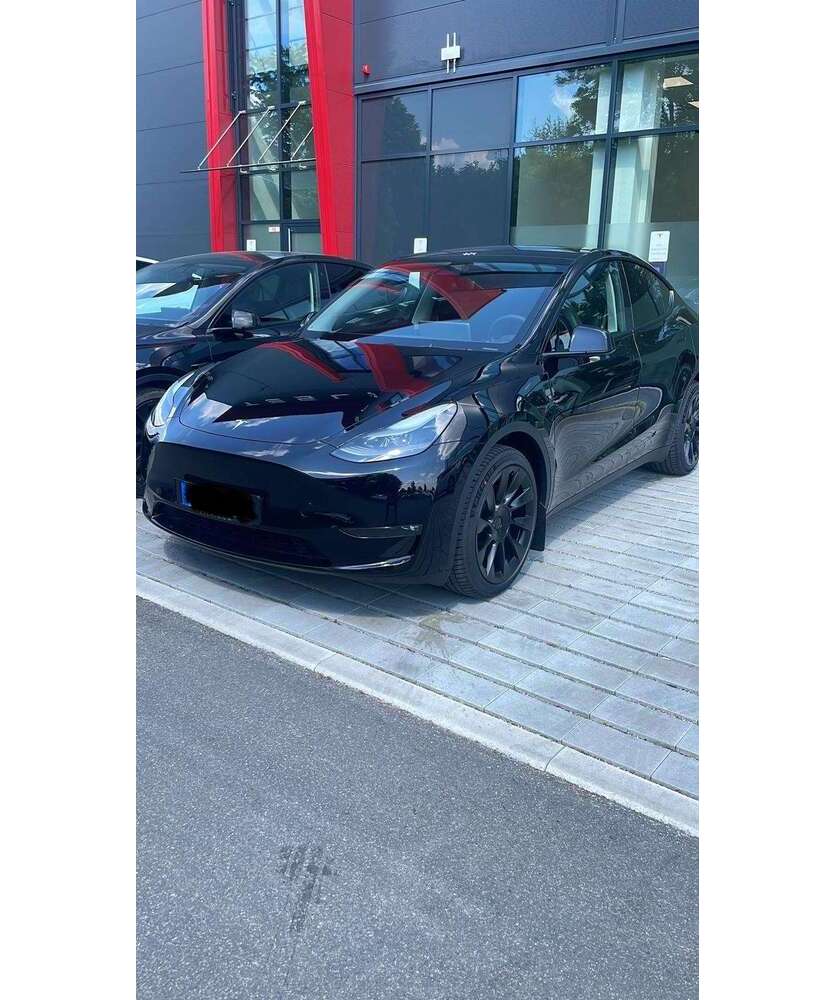 Model Y