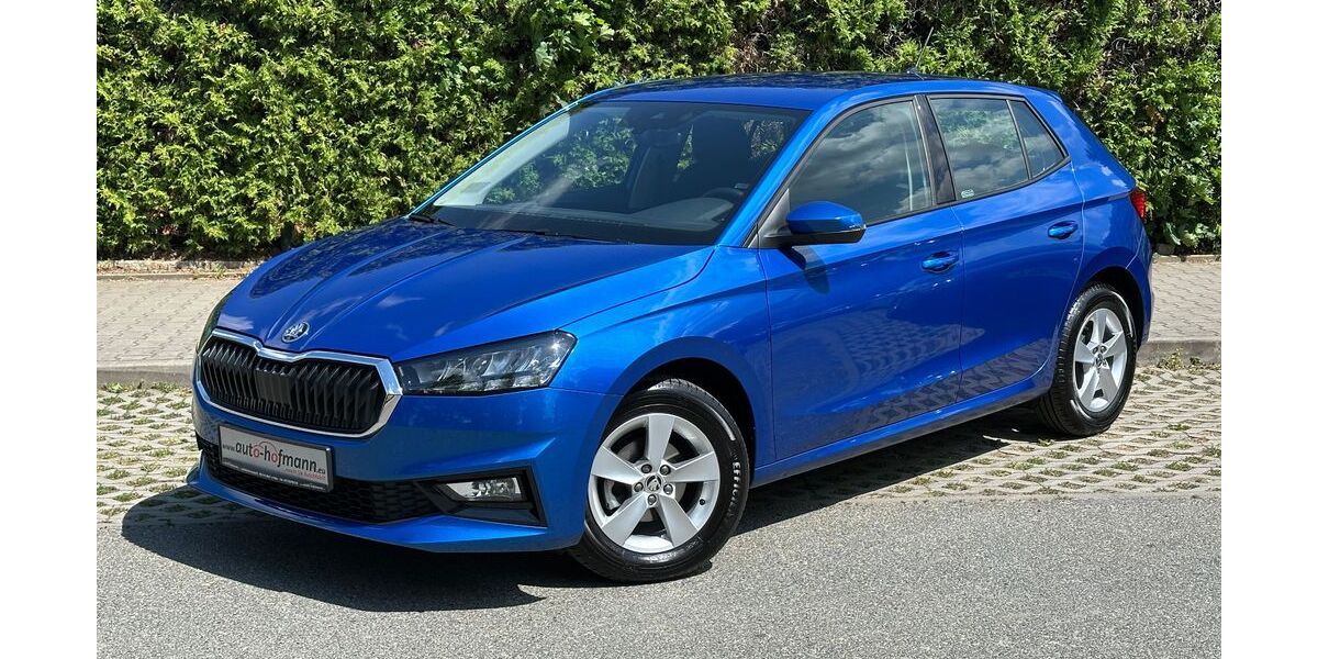 Skoda Fabia 12.699 km 16.890 &euro; Wallenfels 96346
