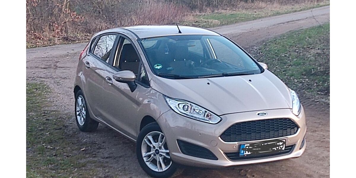 Ford Fiesta 183.300 km 3.350 &euro; Breitenfelde 23881
