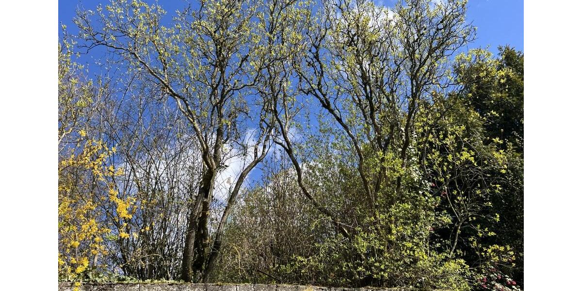 Einfamilienhaus Breckerfeld - 5 Zimmer, 131 m&sup2;, 1.300&euro; | Angebot:26299884