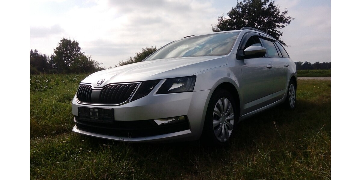 Skoda Octavia 240.420 km 8.300 &euro; Wrestedt 29559