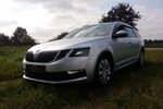 Skoda Octavia 240.420 km 8.300 € Wrestedt 29559