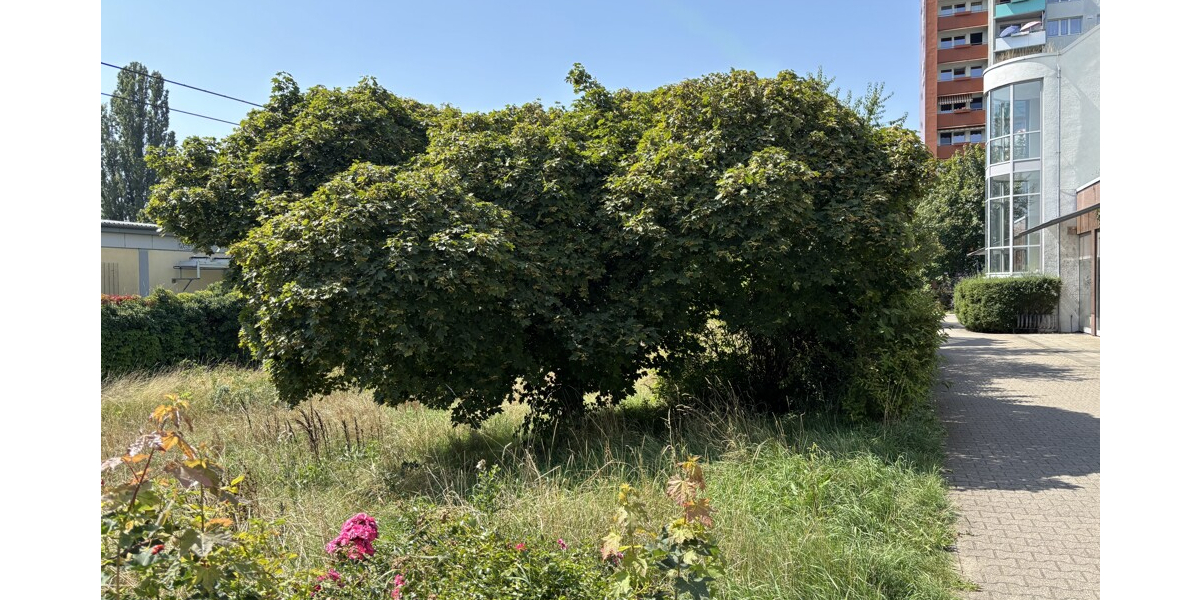 Seniorengerechte 3-Zimmer Eigentumswohnung mit Fahrstuhl und TG 3 zimmer