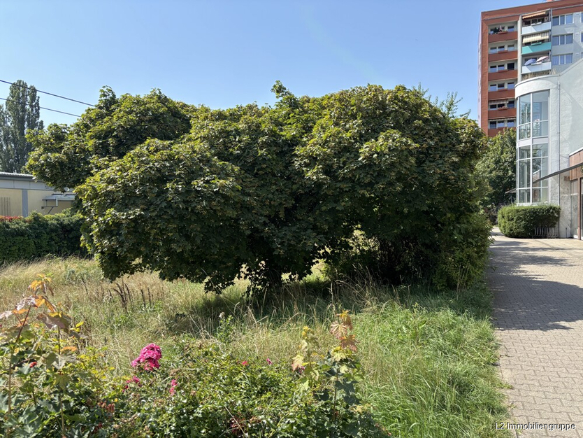 Seniorengerechte 3-Zimmer Eigentumswohnung mit Fahrstuhl und TG 3 zimmer