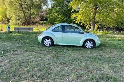 VW Beetle