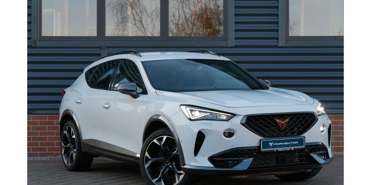 Cupra Formentor 36.790 km 35.890 &euro; Schneeberg 08289