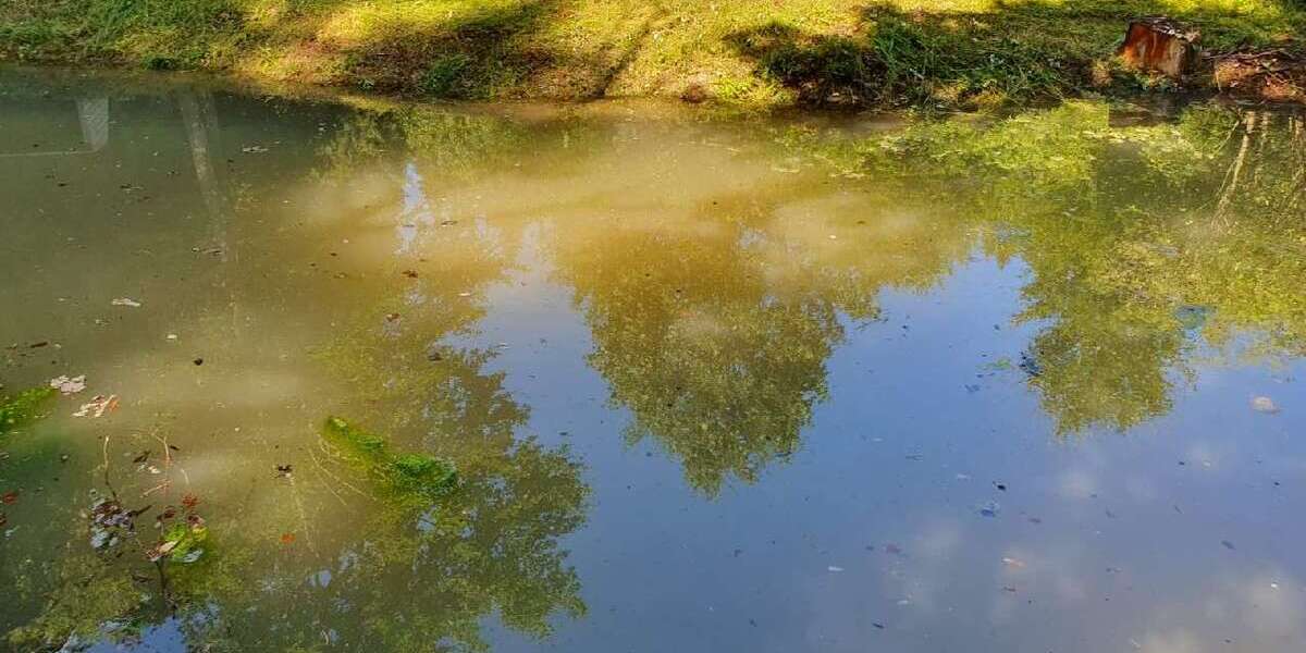 Grundstück in Bad Grönenbach 19.500 € 2711 m² zimmer