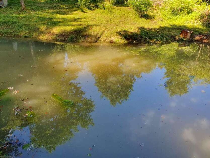 Grundstück in Bad Grönenbach 19.500 € 2711 m² zimmer