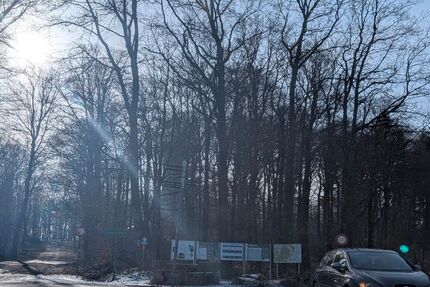 Seat Leon 97.600 km 9.050 &euro; Ober - Olm 55270