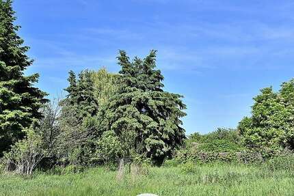 Grundstück Zossen / Dabendorf Dabendorf - 663.750&euro; | Angebot:26866083