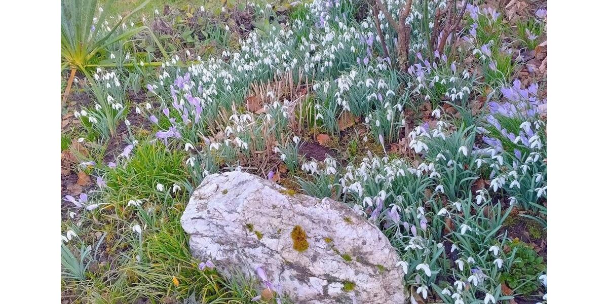 Erdgeschoßwohnung Pelm - 2 Zimmer, 54 m&sup2;, 380&euro; | Angebot:25617150