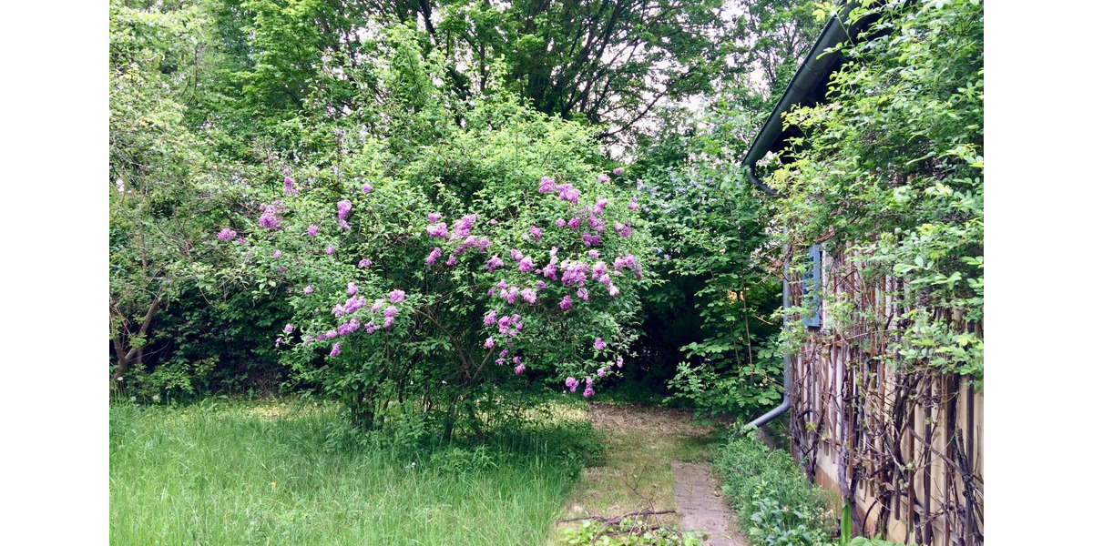 Einfamilienhaus Doberlug-Kirchhain Kirchhain - 2 Zimmer, 53 m&sup2;, 159.000&euro; | Angebot:25350058