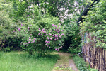 Einfamilienhaus Doberlug-Kirchhain Kirchhain - 2 Zimmer, 53 m&sup2;, 159.000&euro; | Angebot:25350058