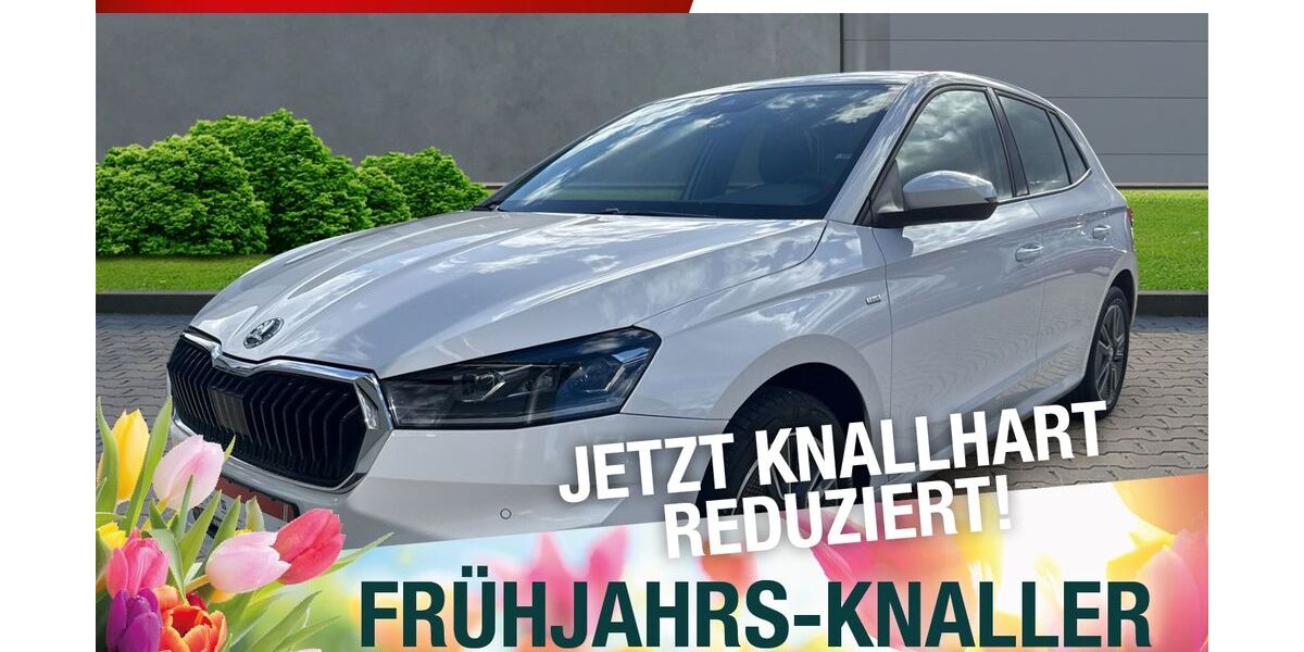 Skoda Fabia 86.782 km 18.870 &euro; Marktredwitz 95615