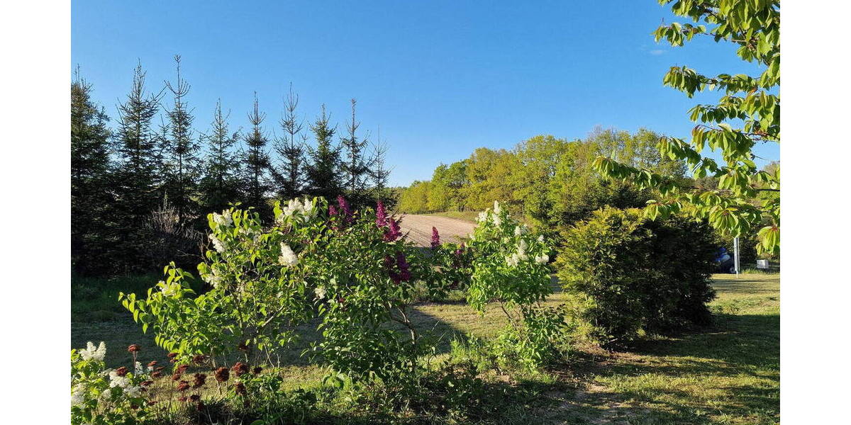 Einfamilienhaus Garz auf Rügen Kniepow - 7 Zimmer, 220 m&sup2;, 629.000&euro; | Angebot:26290544