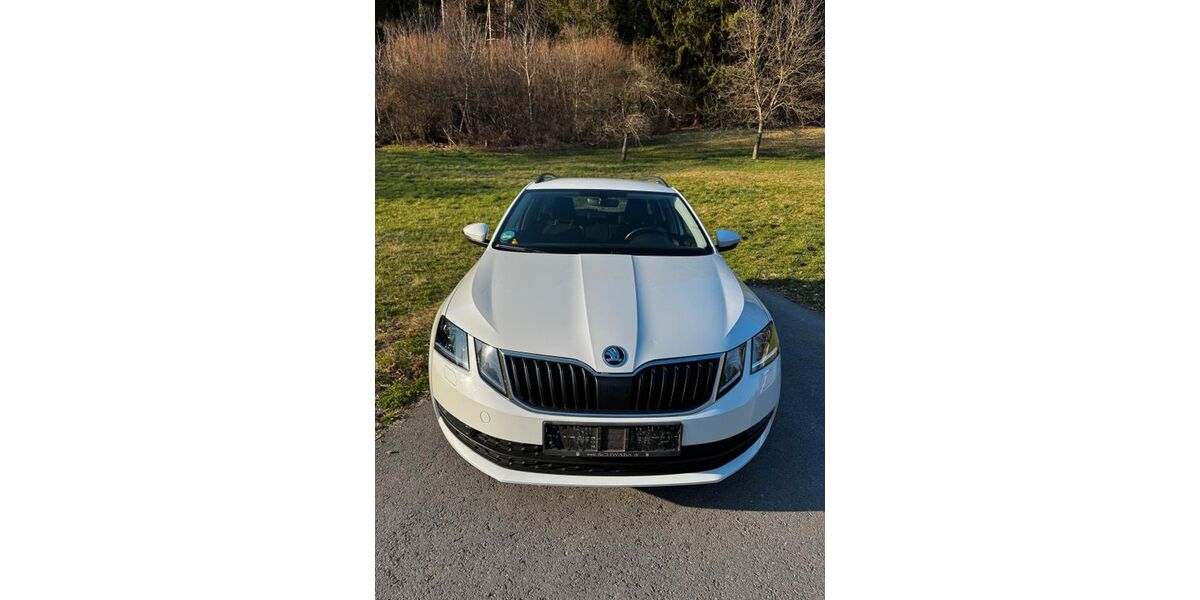 Skoda Octavia 134.900 km 15.000 &euro; Lindau 88131