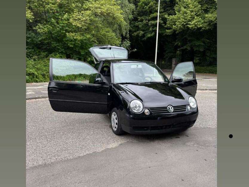 Lupo
