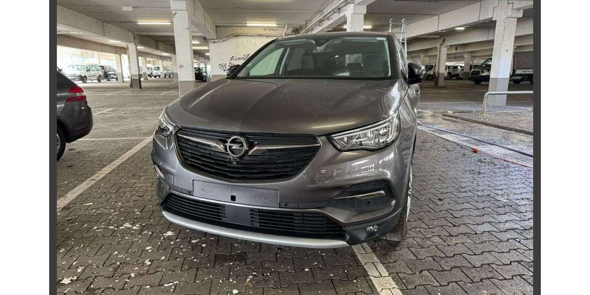 Opel Grandland X 80.000 km 13.690 &euro; Mainz 55128