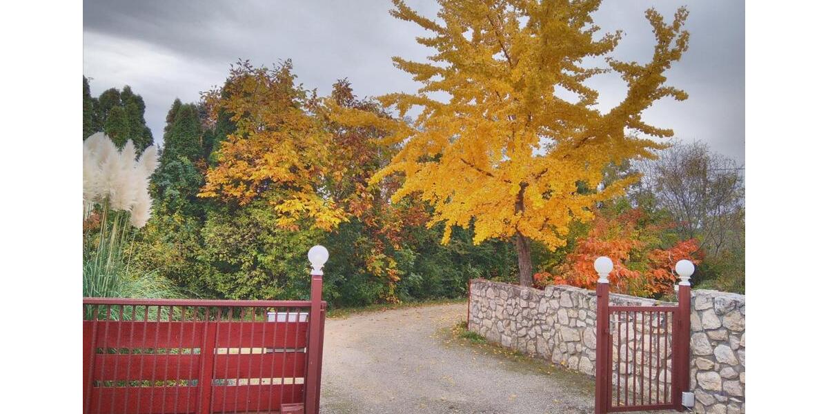 Einfamilienhaus Taucha - 3 Zimmer, 114 m&sup2;, 459.000&euro; | Angebot:25404428