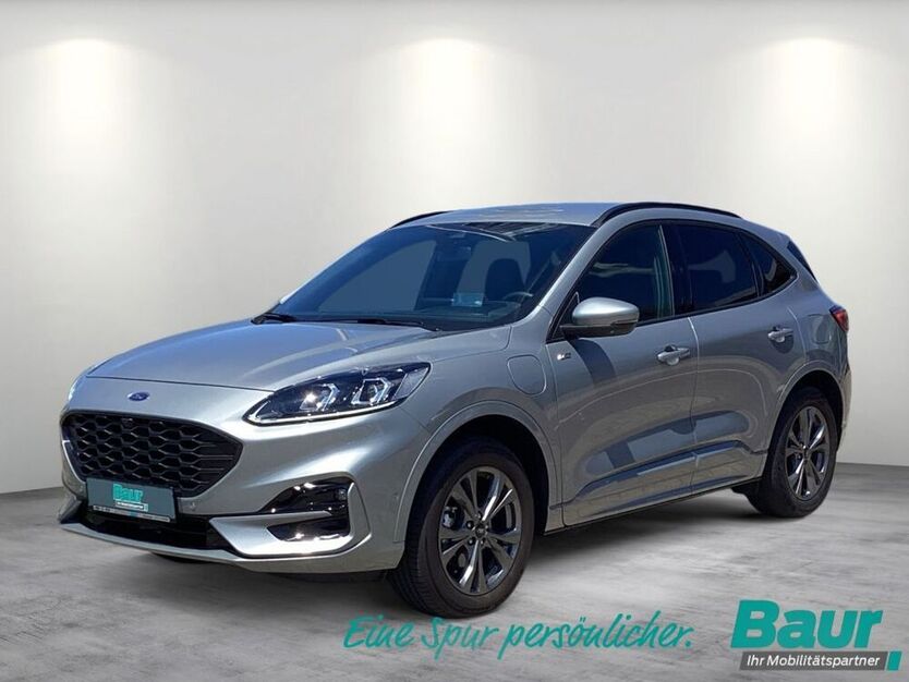 Kuga