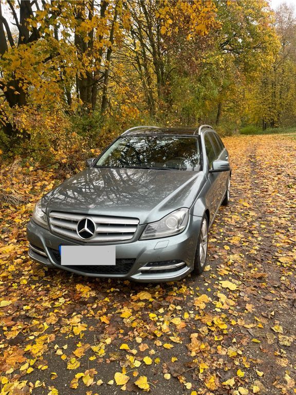 C 250