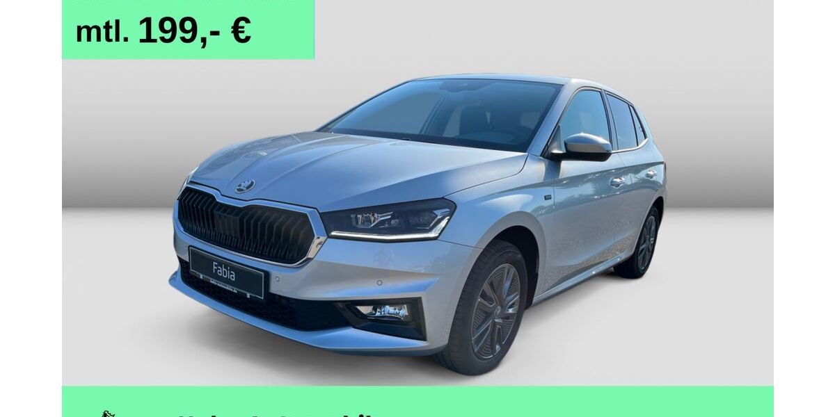 Skoda Fabia 9.000 km 19.980 &euro; Pforzheim 75179