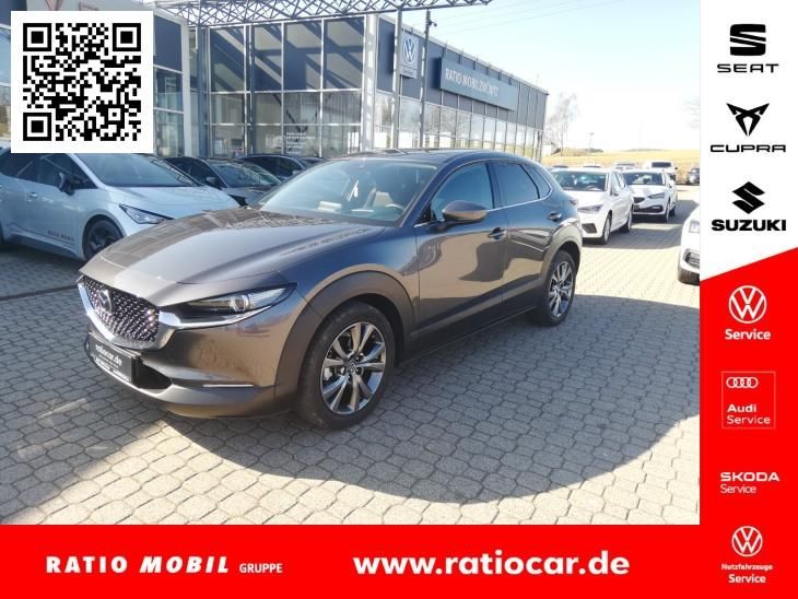 CX-30