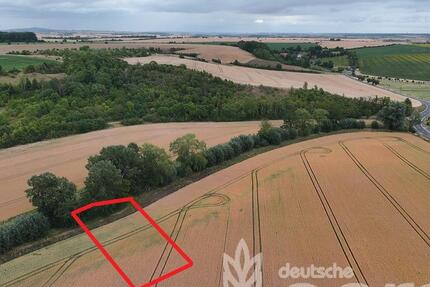 Kompakte Ackerfläche für Jedermann bei Halle (Saale) - ca. 1330 m² zimmer