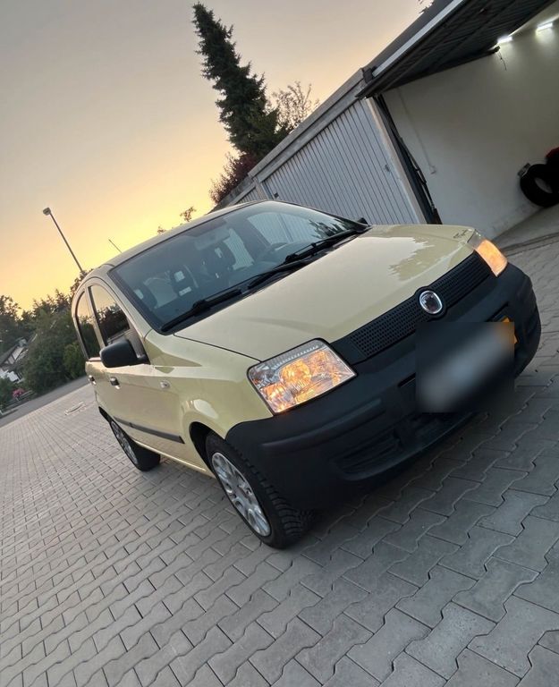 Panda