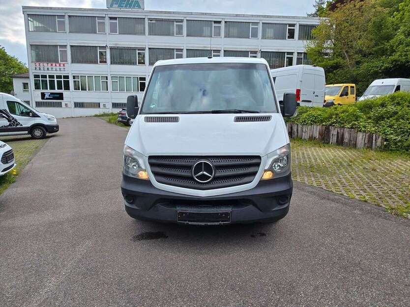 Sprinter