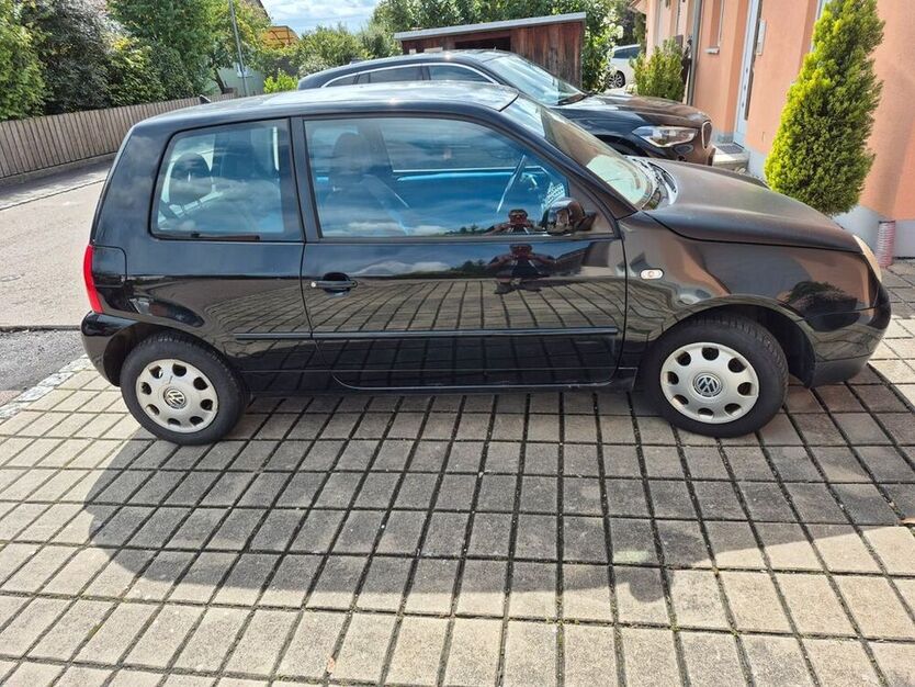 Lupo