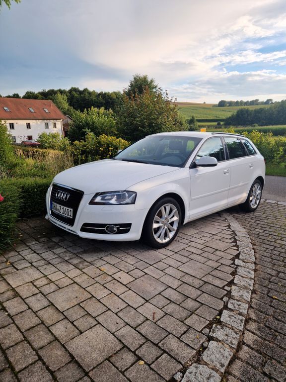 A3