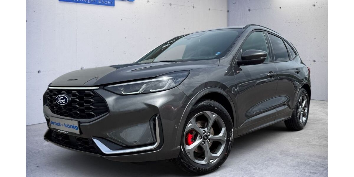 Ford Kuga 12.157 km 36.970 &euro; Waldshut-Tiengen 79761