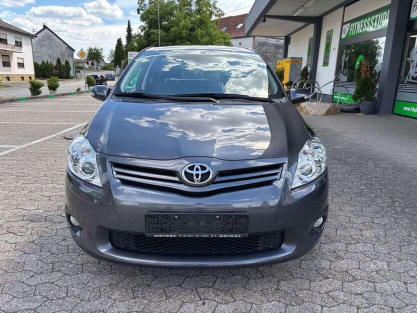 Auris