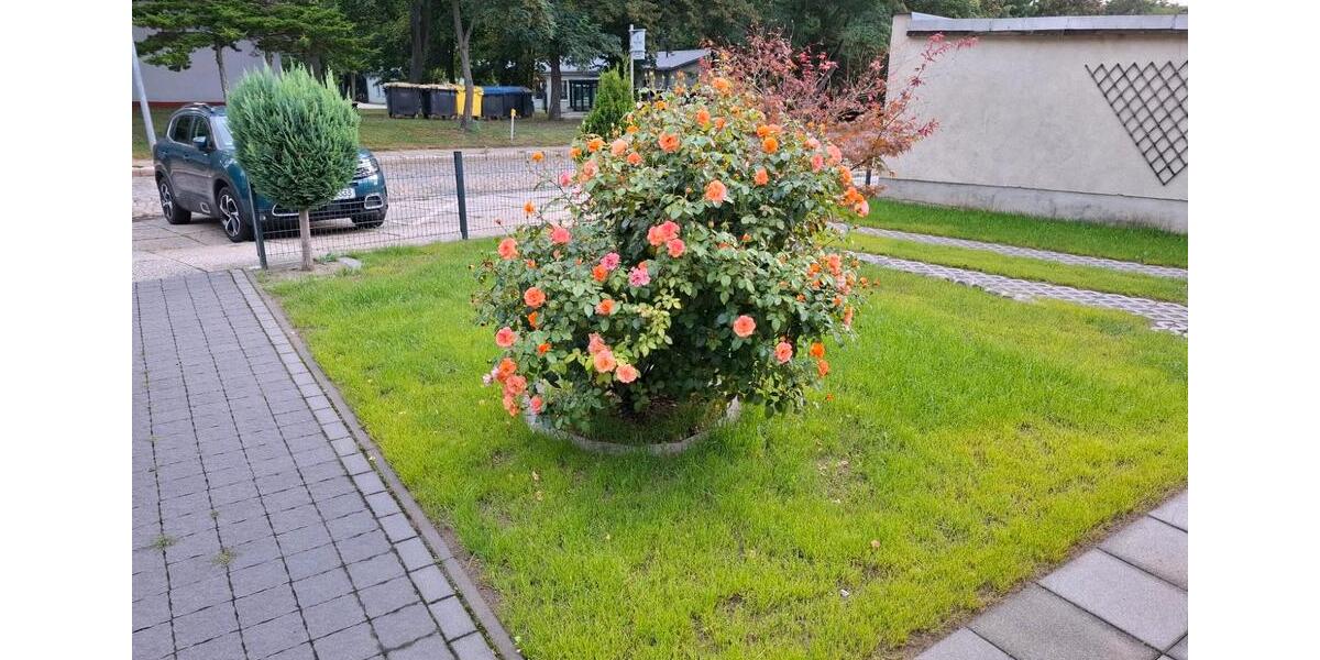 Bungalow Oschersleben (Bode) - 3 Zimmer, 80 m&sup2;, 319.000&euro; | Angebot:26026076