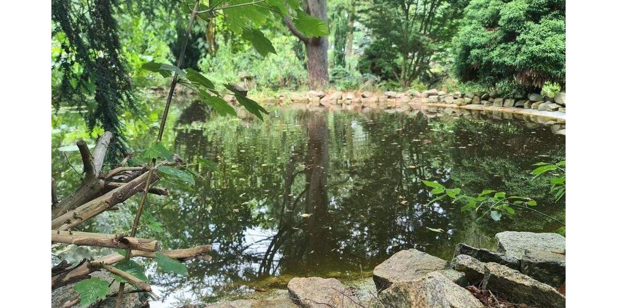 Einfamilienhaus Döbern - 4 Zimmer, 91 m&sup2;, 130.000&euro; | Angebot:23854944