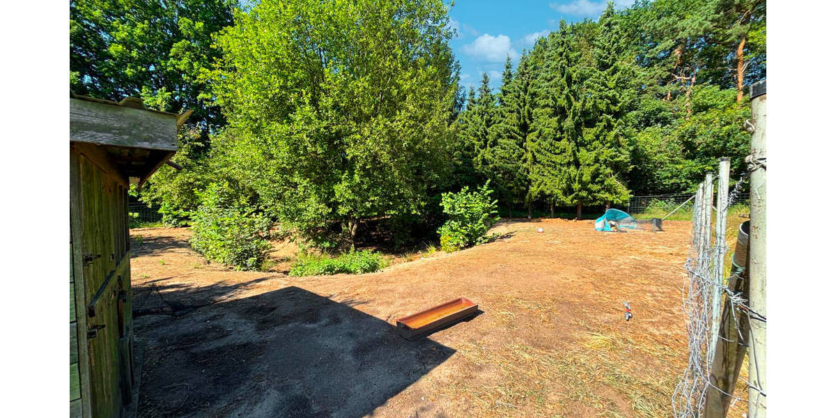 Mehrfamilienhaus, Wohnhaus Haselünne Lahre - 375.000&euro; | Angebot:25770605