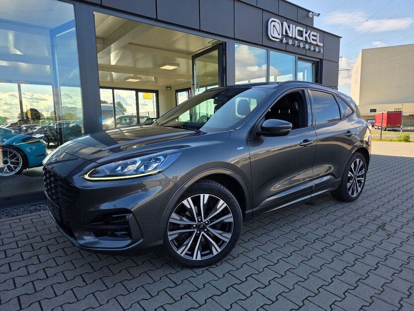 Kuga