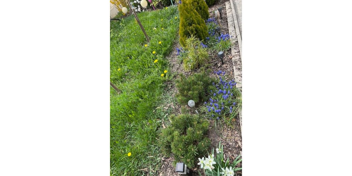 Etagenwohnung Herrieden - 3 Zimmer, 720&euro; | Angebot:22495741