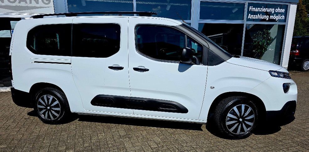 Berlingo