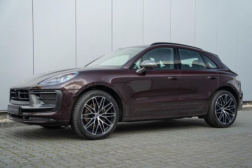 Macan