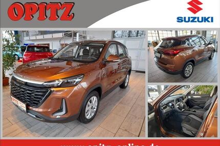 Baic Andere